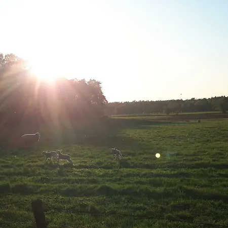 Schoene Komplette In Wesel (North Rhine-Westphalia)