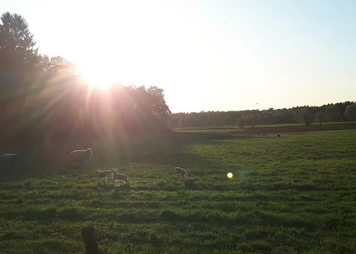 Schoene Komplette In Wesel (North Rhine-Westphalia)